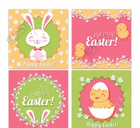 复活节兔子小鸡卡片图片