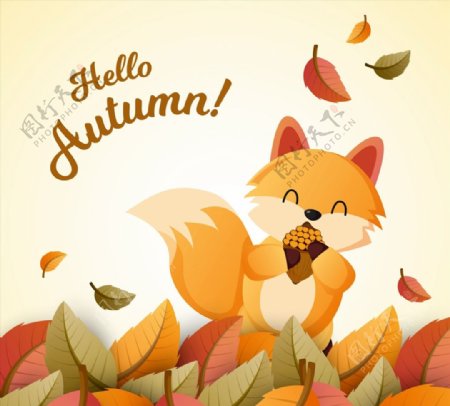 秋季落叶中的狐狸图片