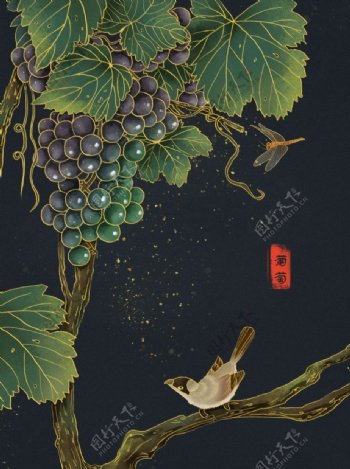 水果葡萄鸟雀手绘图片