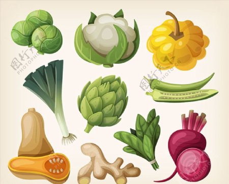 时尚蔬菜设计图片