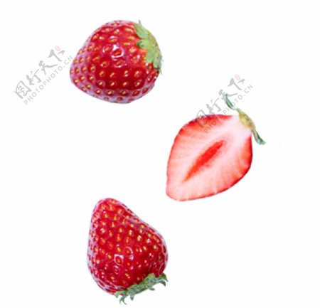 三棵草莓图片