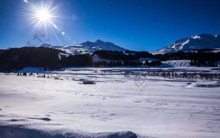 大雪无垠伊犁风光白色的冬天图片