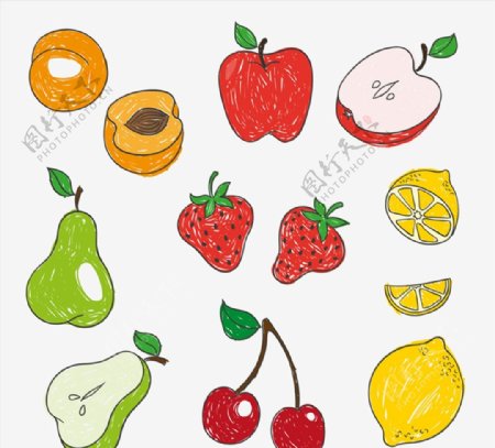 彩绘水果矢量图片