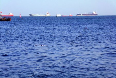 海与远方的轮船图片