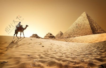 埃及金字塔狮身人面像图片