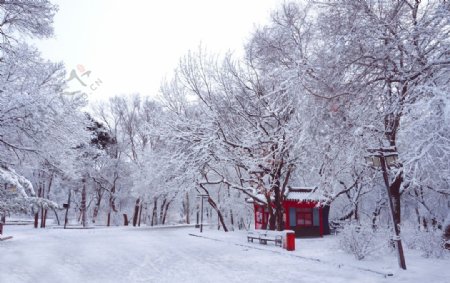 雪中的亭子长凳图片