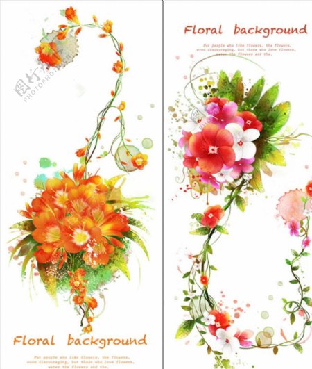 花卉背景底纹图片