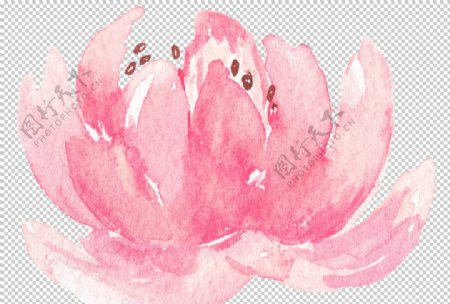 小清新水彩绘画花朵图片