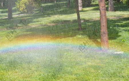 草地上的彩虹图片