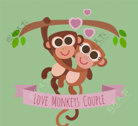 情侣猴子矢量图片