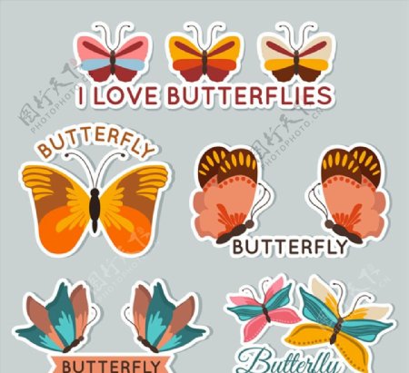蝴蝶标签矢量图片