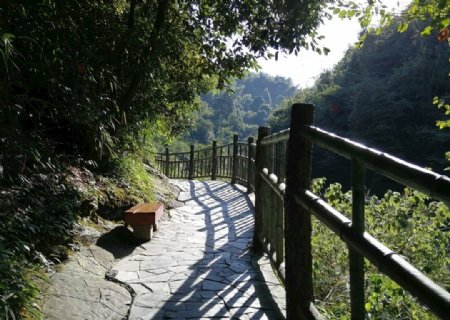 林间小道龙景峡谷图片