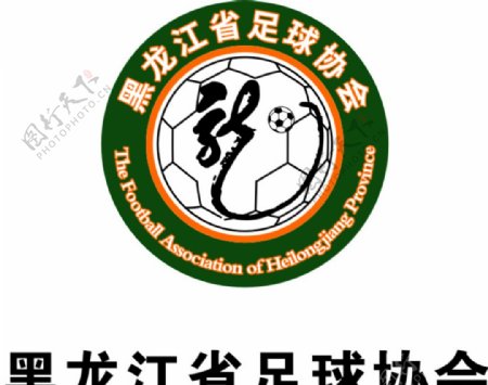 黑龙江省足球协会图片