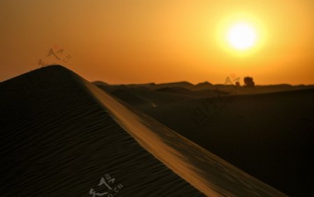 沙丘日出图片