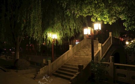 夜景柳树石桥图片