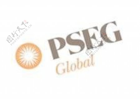 PSEG全球