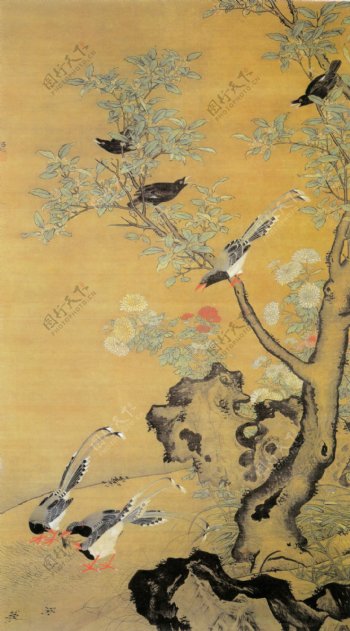 桂菊山禽图图片