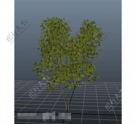 植物3d模型图片