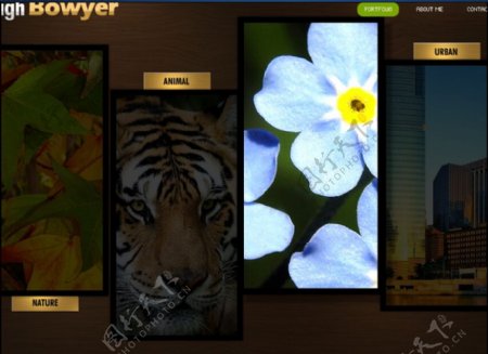 花卉网页设计flash网页模板