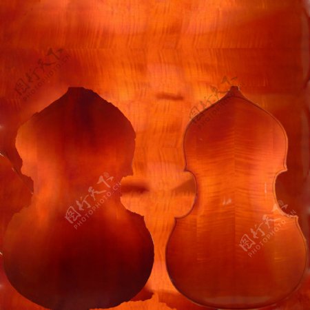 低音提琴doublebass带贴图