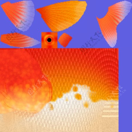 动物鱼类3d模型动植物模型免费下载3d模型免费下载10