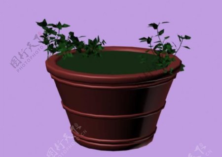 植物3D模型素材20080502更新28