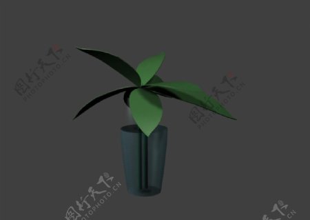 植物3D模型素材20080502更新40