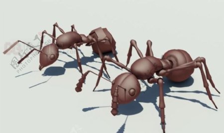 Ant蚂蚁低模