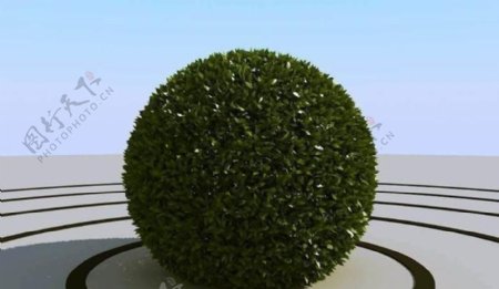 高精细球形的灌木丛模型bushball03