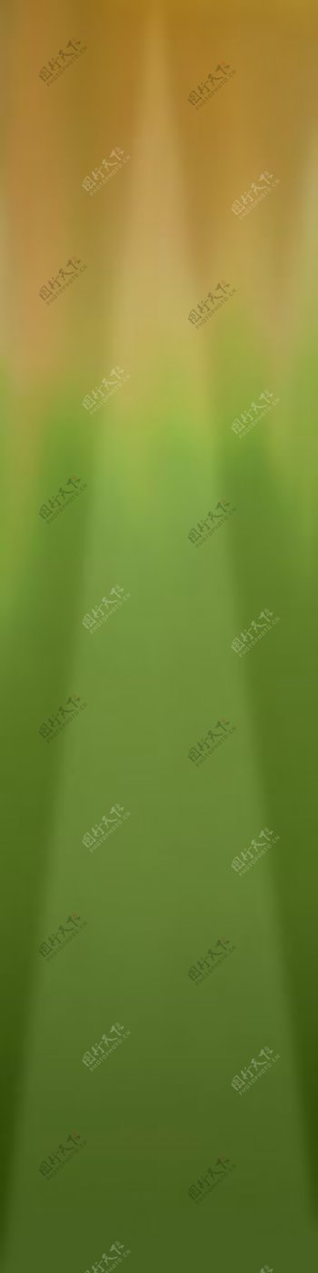 高精细丝兰yucca01