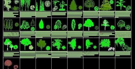 各种类CAD立面树造型图例图块素材