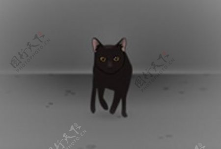 正面奔跑的黑猫fash动画