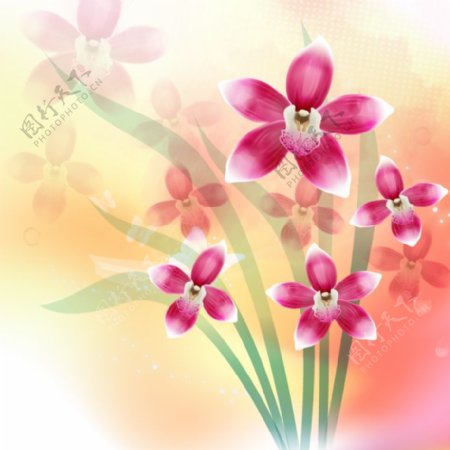 印花矢量图植物花卉优雅植物色彩免费素材