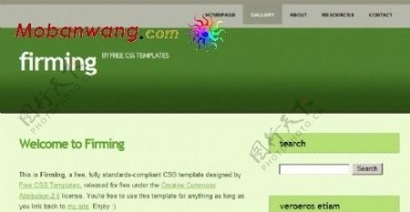绿色IT技术BLOG网页模板