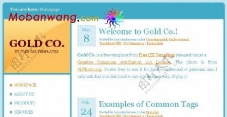 黄金主题公司BLOG网页模板