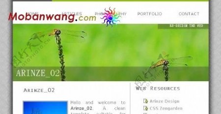 蜻蜓绿色BLOG网页模板