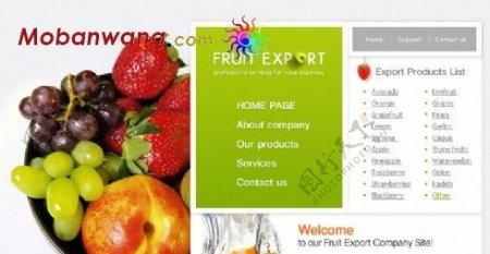 水果进出口企业网站模板