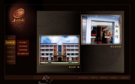 公司形象翡翠网站模版图片
