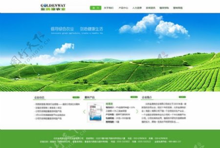 绿色农业产品企业网站模板