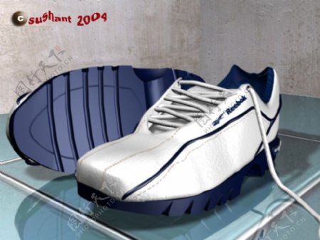 2007最新3d鞋模型2