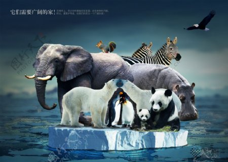 环境保护公益广告图片