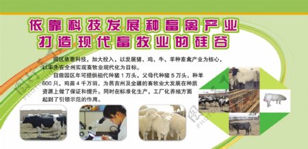畜牧业发展展板图片