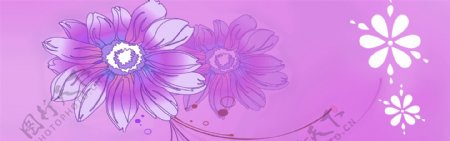 紫色花纹花朵图片