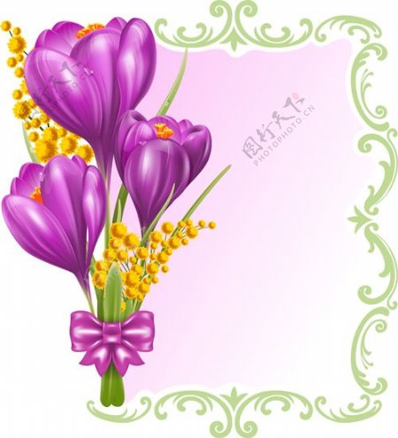 美丽的紫色花卡矢量图02