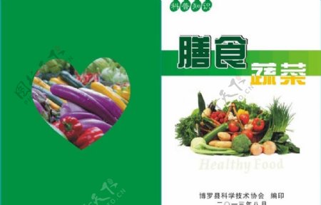 膳食蔬菜小册子封面图片