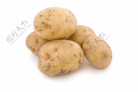 土豆高清摄影图片