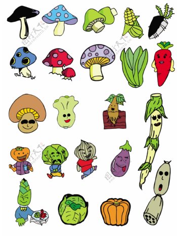 蔬菜水果蔬菜图片