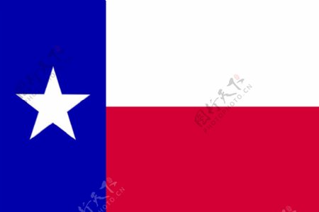 德克萨斯州的旗