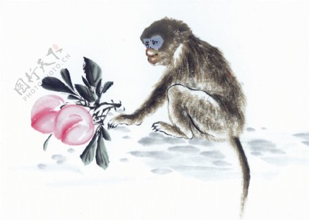 猴子摘桃图
