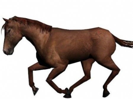 发一个自己做的马的动画模型